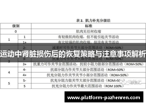 运动中肾脏损伤后的恢复策略与注意事项解析 运动中肾脏损伤后的恢复策略与注意事项解析