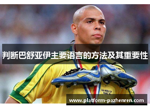 判断巴舒亚伊主要语言的方法及其重要性