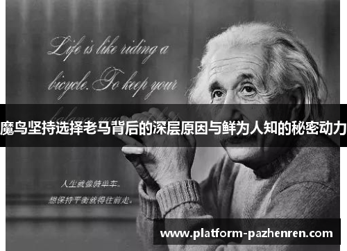 魔鸟坚持选择老马背后的深层原因与鲜为人知的秘密动力