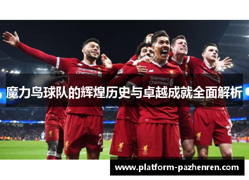 魔力鸟球队的辉煌历史与卓越成就全面解析