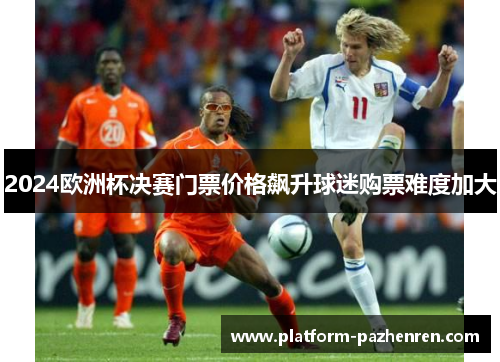 2024欧洲杯决赛门票价格飙升球迷购票难度加大