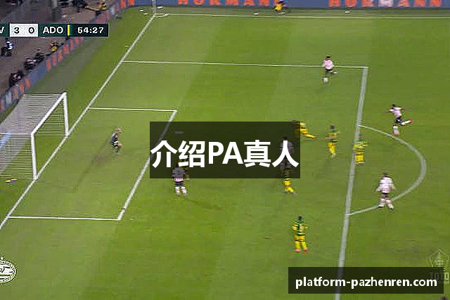 介绍PA真人